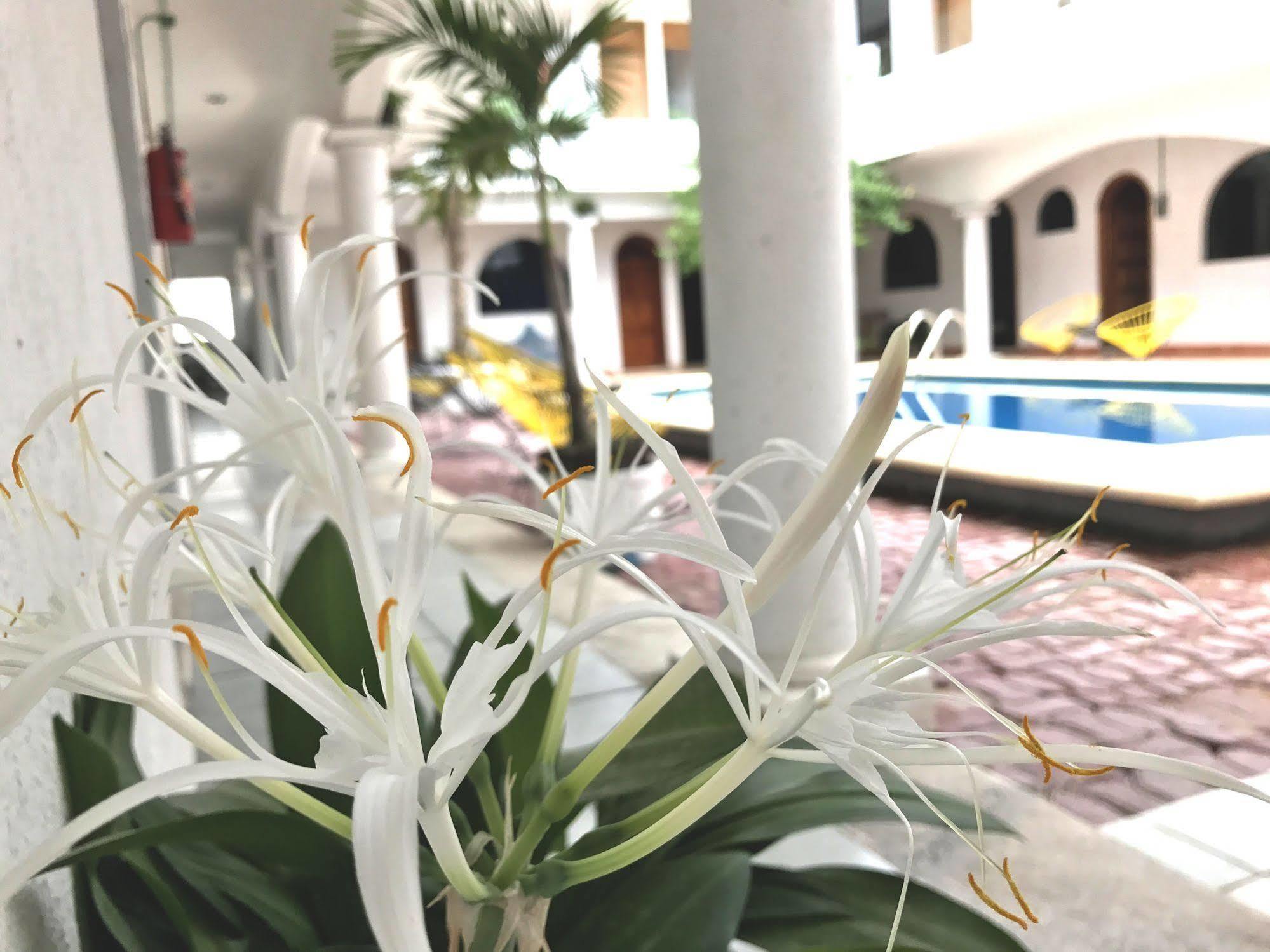 Hotel Villas San Ignacio Playa del Carmen Exterior foto
